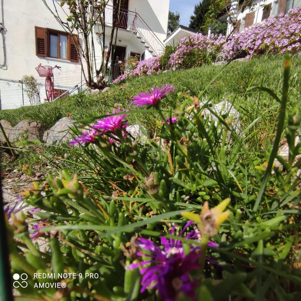Casa Gaudia Apartment in Trentino-South Tyrol