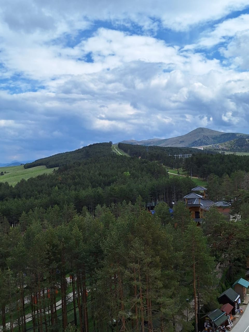 Apartman Cvetković, Vila Elsa III Apartment in Zlatibor