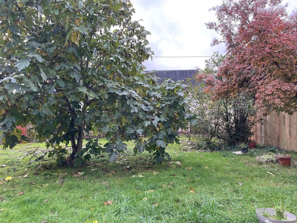 Gîte charmant proche des Châteaux de la Loire avec jardin privatif et parking. - FR-1-410-426 House in Pays de la Loire