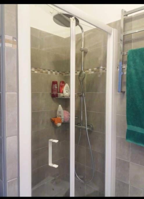 En plein coeur de Nice Apartment in Nice