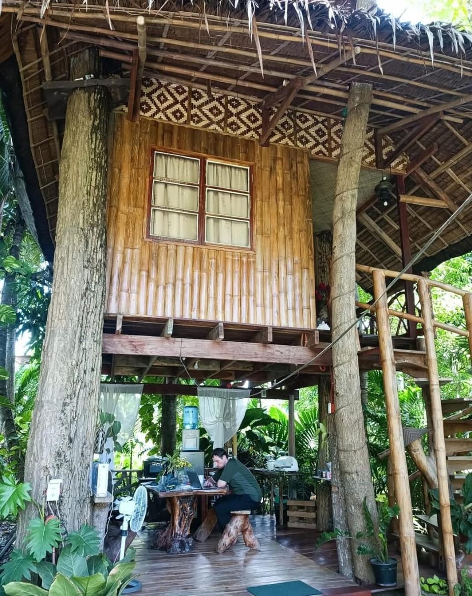 Property building, Day