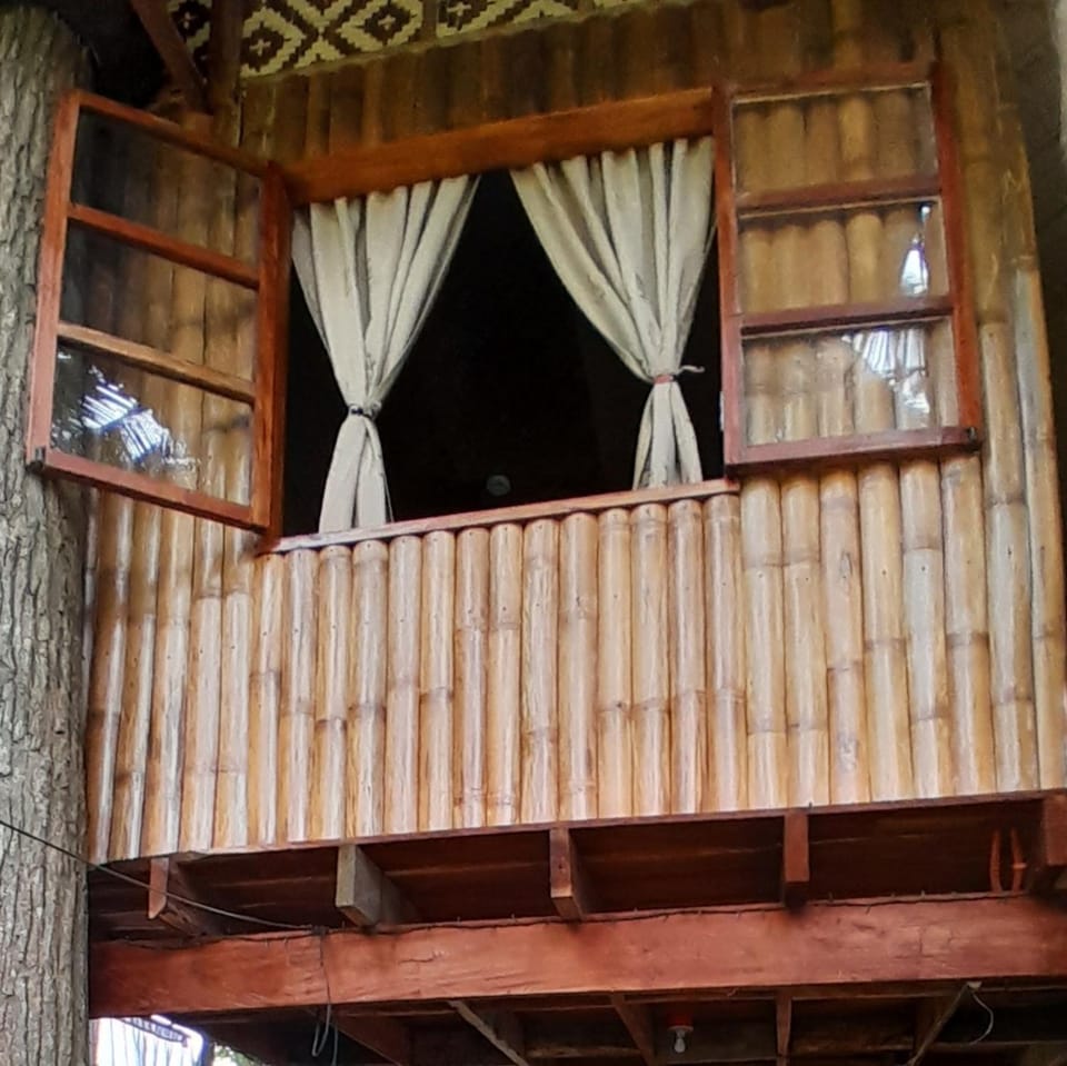 Property building, View (from property/room)