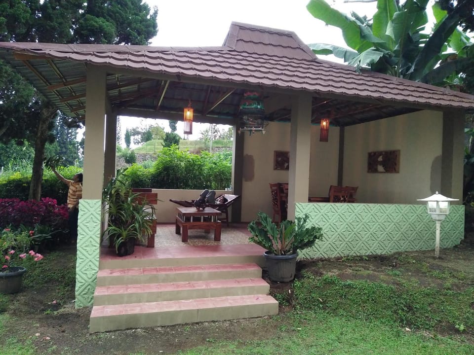Patio, Day