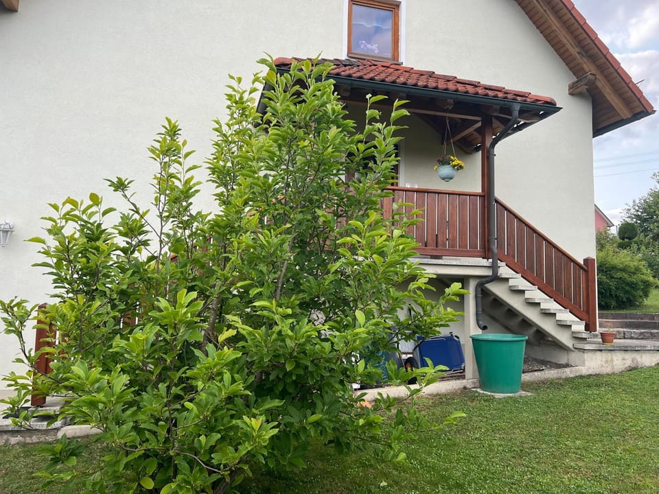 Property building, Spring, Day, Garden