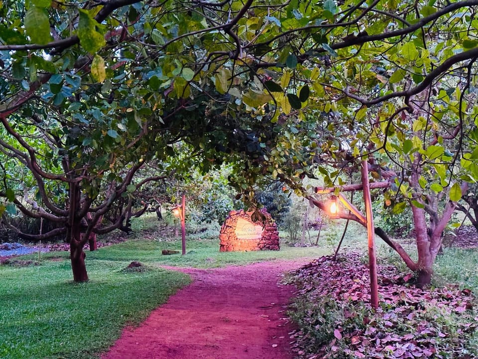 Garden view