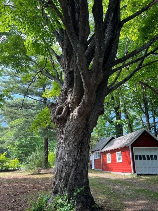 Property building, Spring, Natural landscape