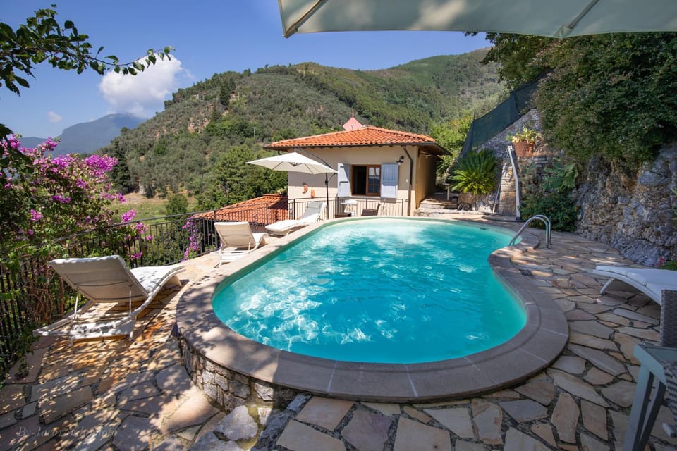 Pool view, Swimming pool