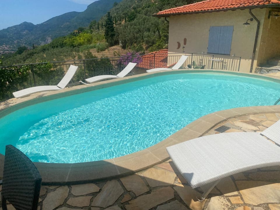 Natural landscape, Swimming pool, sunbed