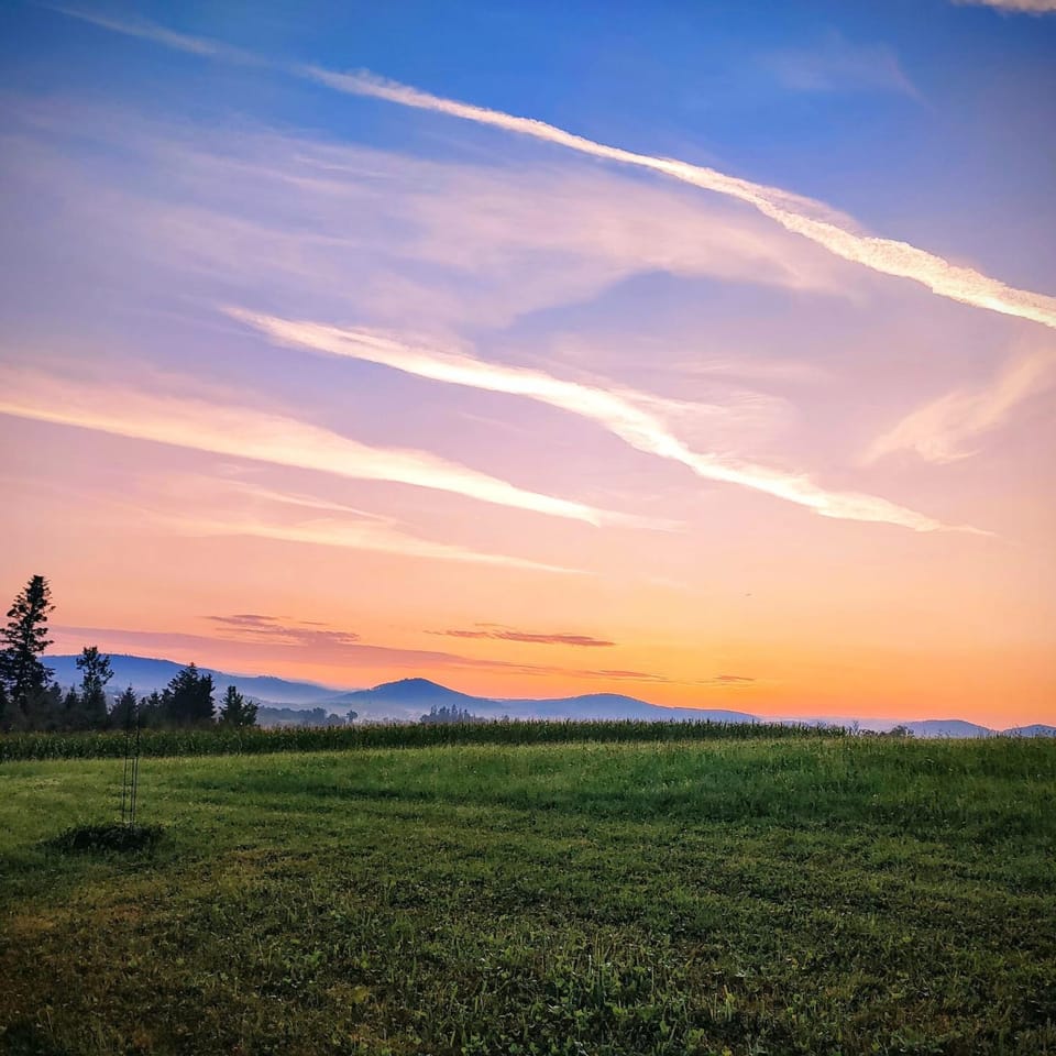 Natural landscape, Garden, Mountain view, Sunrise