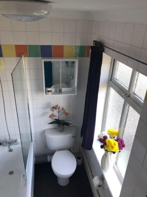 Shower, Toilet, Bathroom, Bath, towels