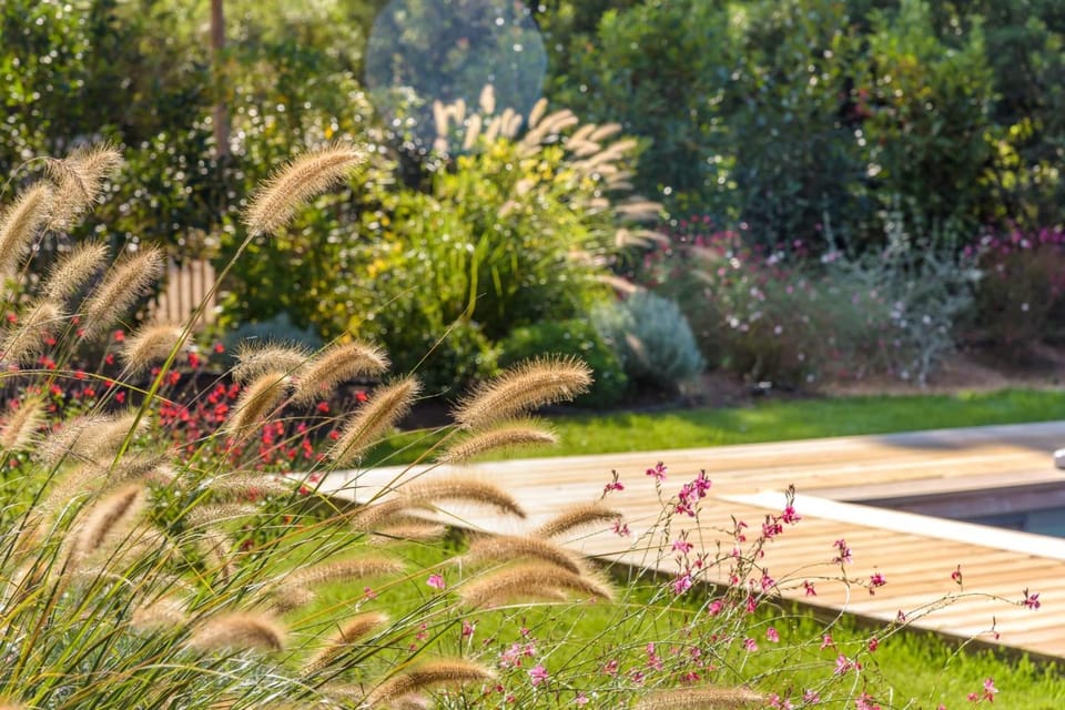 Lodge Les Arbousiers Di Lecci Villa in Zonza