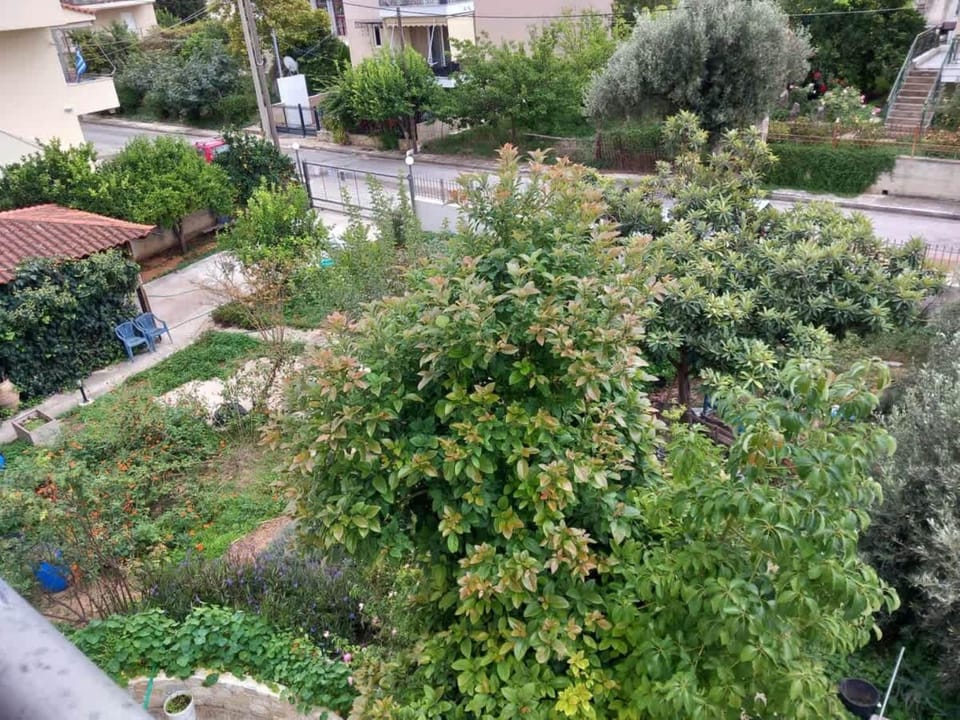 Natural landscape, Garden, Garden view