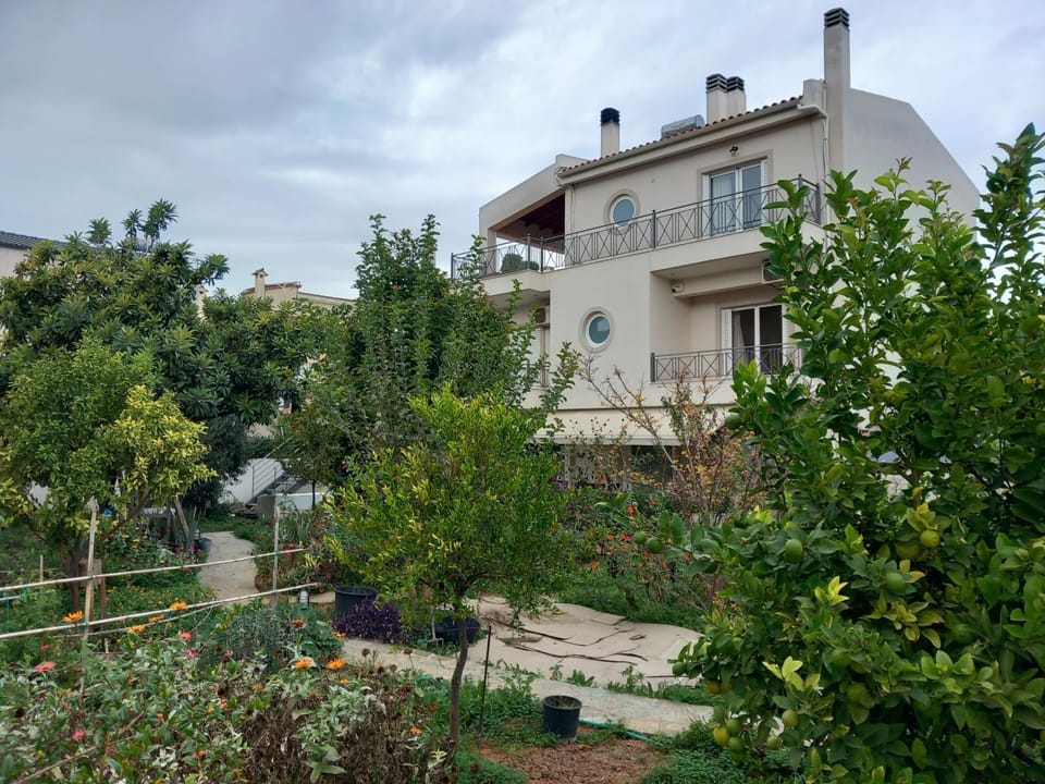 Property building, Garden, Garden view