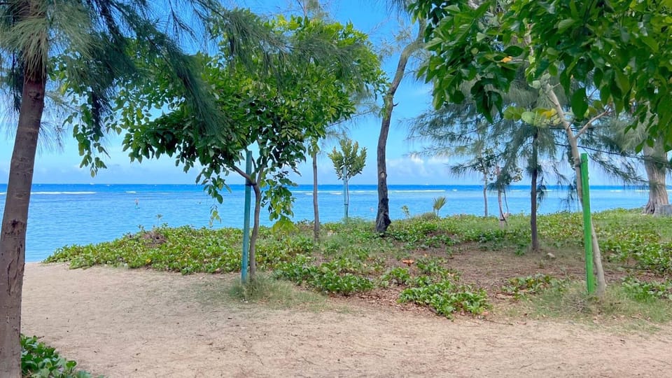 Nearby landmark, Natural landscape, Beach