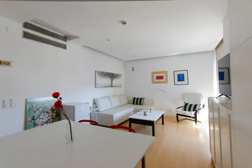 Beautiful flat a stone's throw from the Retiro-VILL Apartment in Madrid