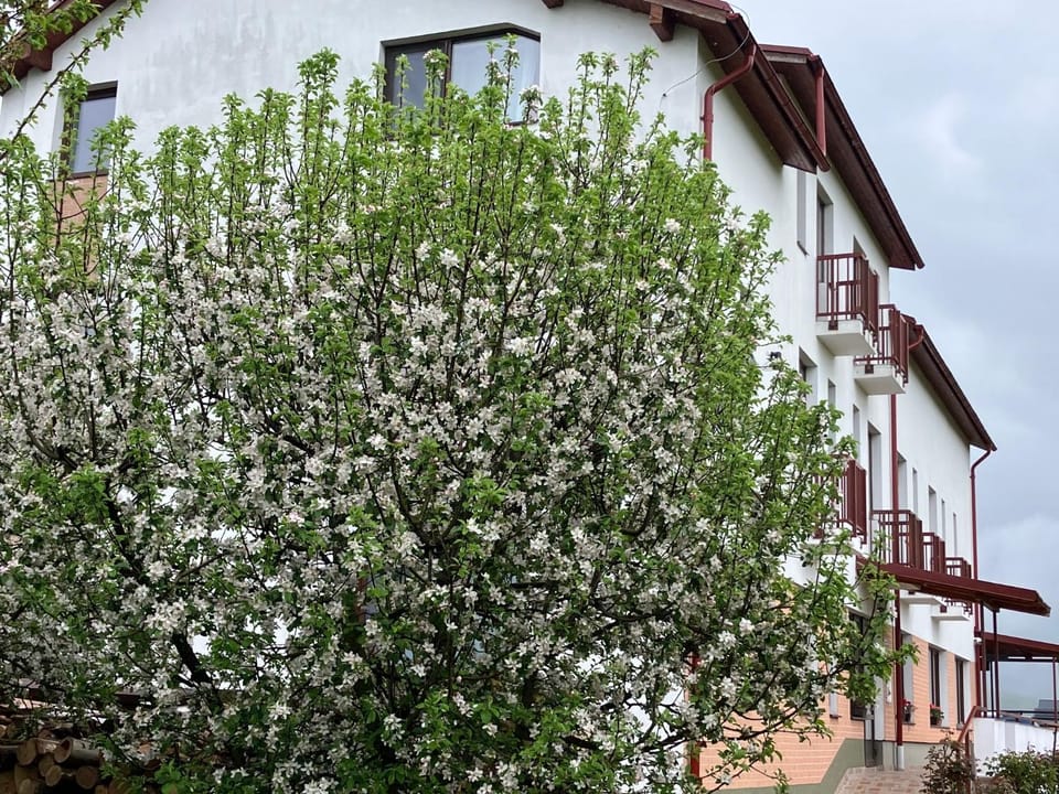 Spring