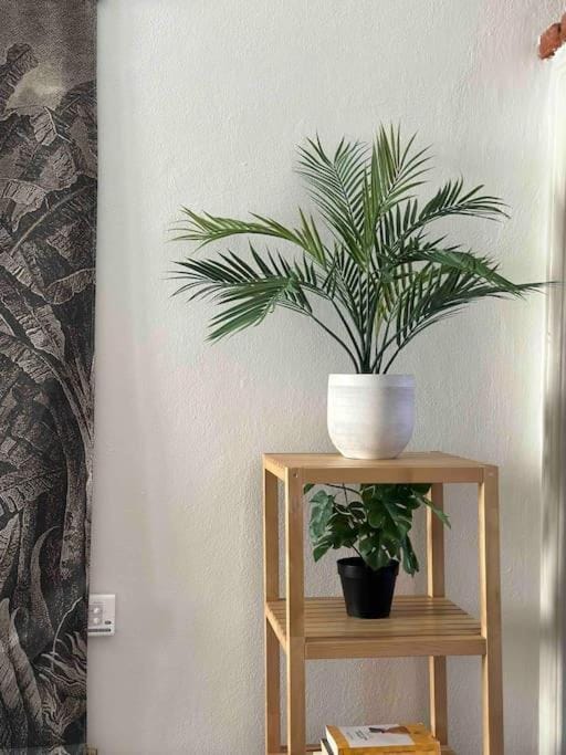 Xenia Apartments - Charming Garden Suite in Porta Venezia Apartment in Milan