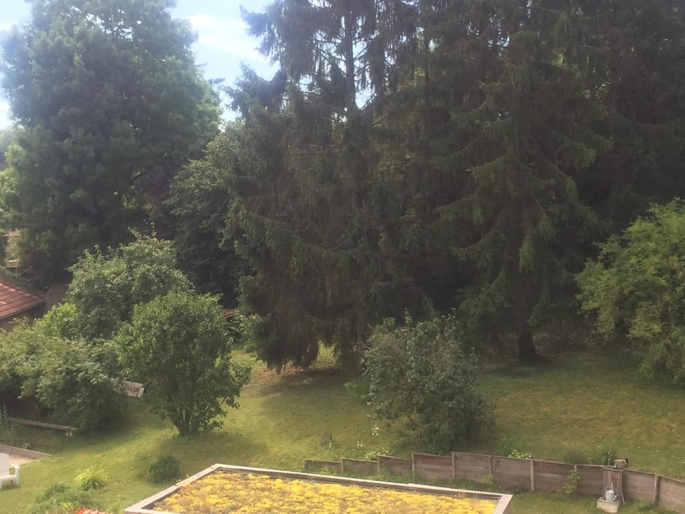 Garden, Garden view