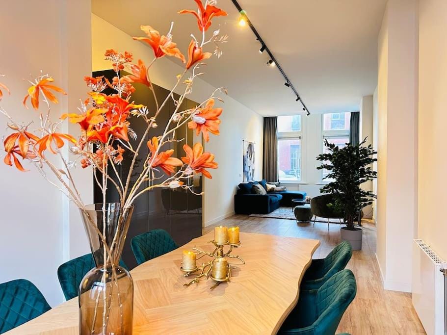 Sofia's Mansion Apartment in Breda