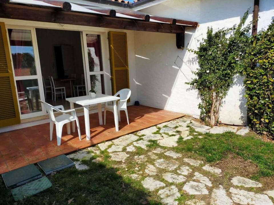 Property building, Summer, Garden, Garden view