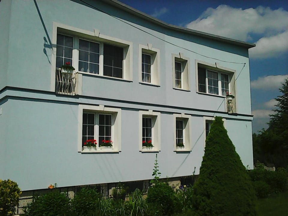 Property building, Day, Garden