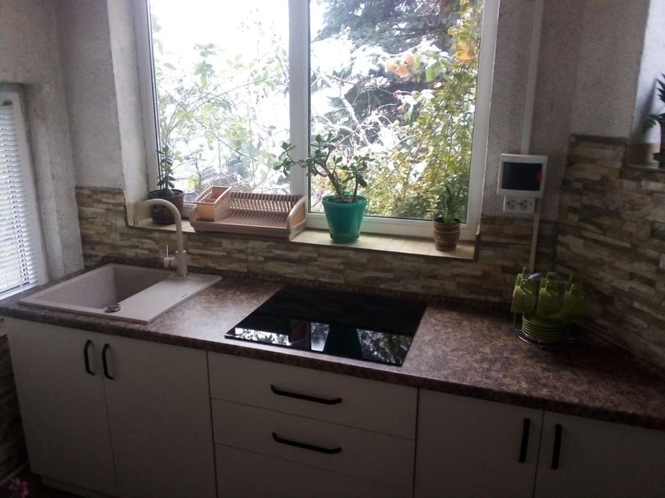 Vyshenka Guest House Bed and Breakfast in Ukraine