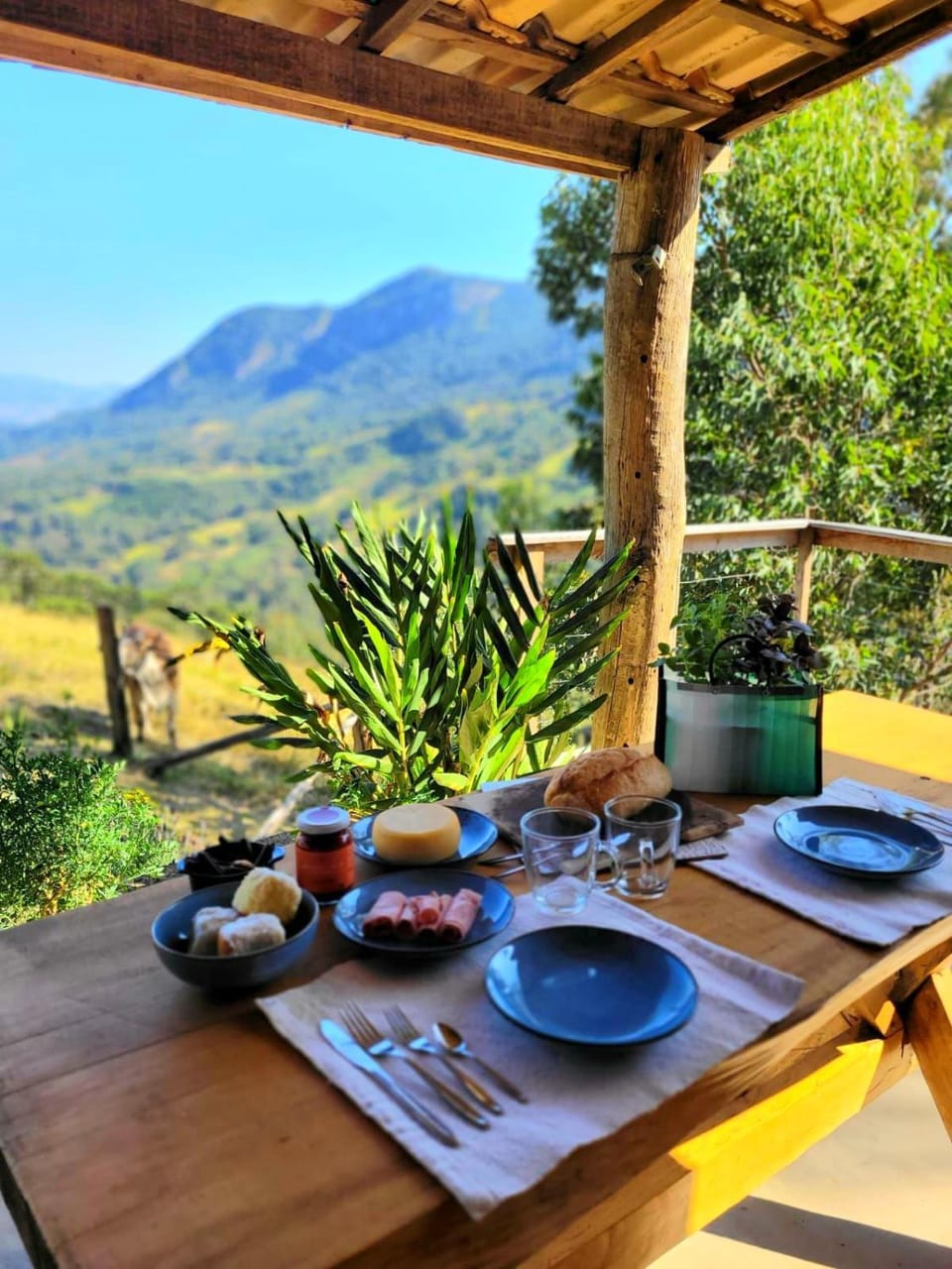 Dining area, Mountain view