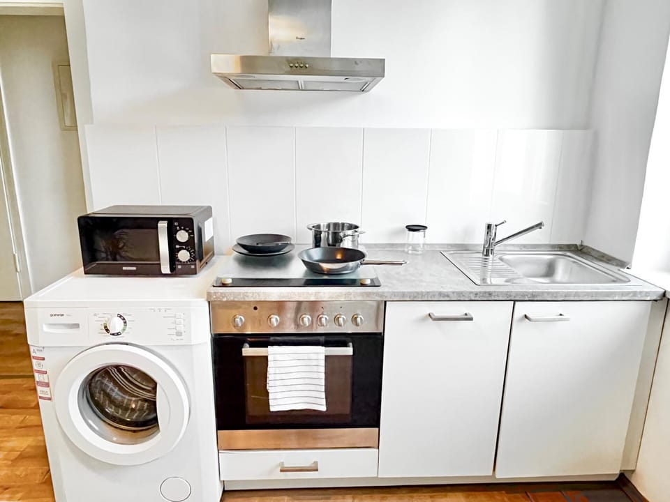 Kitchen or kitchenette, dishwasher, minibar, pet friendly, stove, washing machine