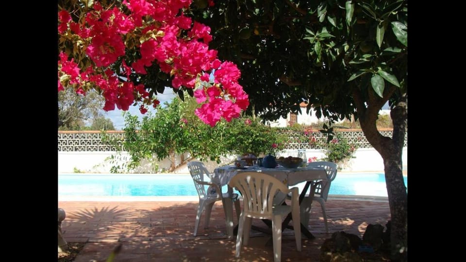 Day, Garden, Dining area, Garden view, Pool view, Swimming pool, sunbed
