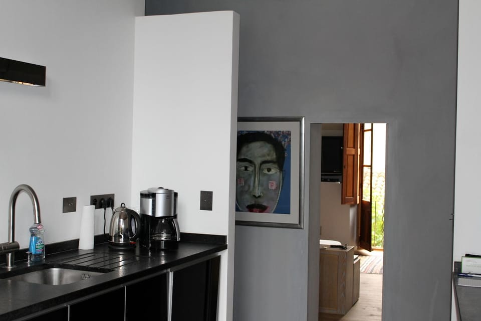 Luxury two bedroom apartment in Apt, the heart of the Luberon Apartment in Apt
