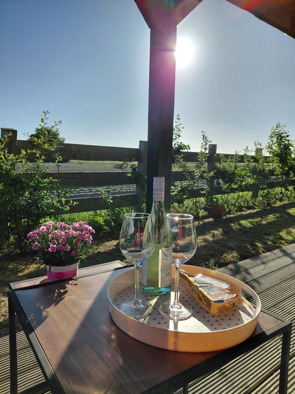 Garden view