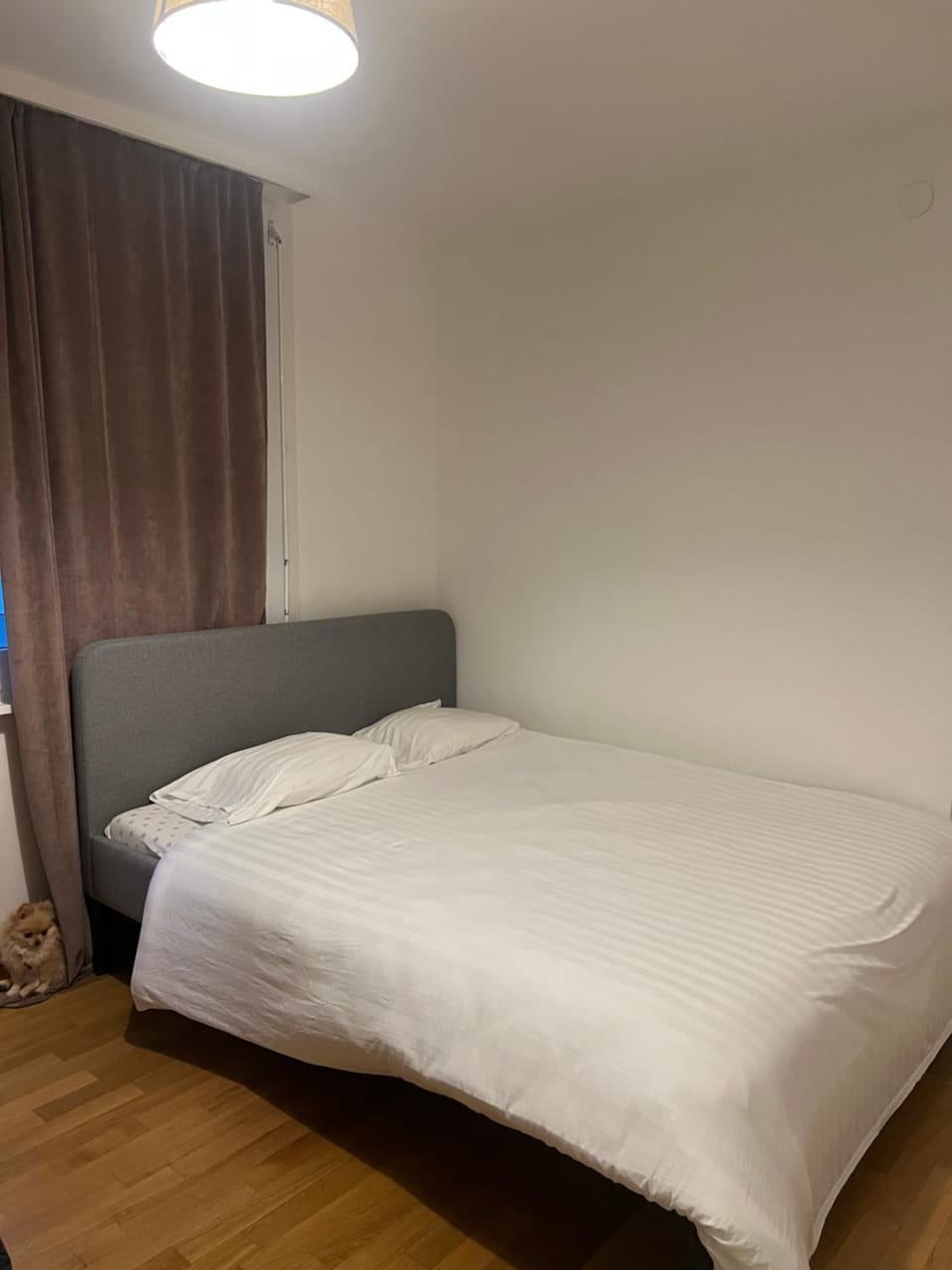 L’appartement du père Noël Apartment in Geneva