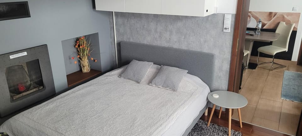 Magic Apartment Apartment in Krakow