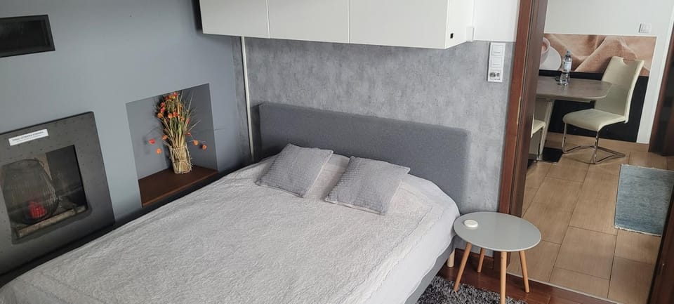 Magic Apartment Apartment in Krakow