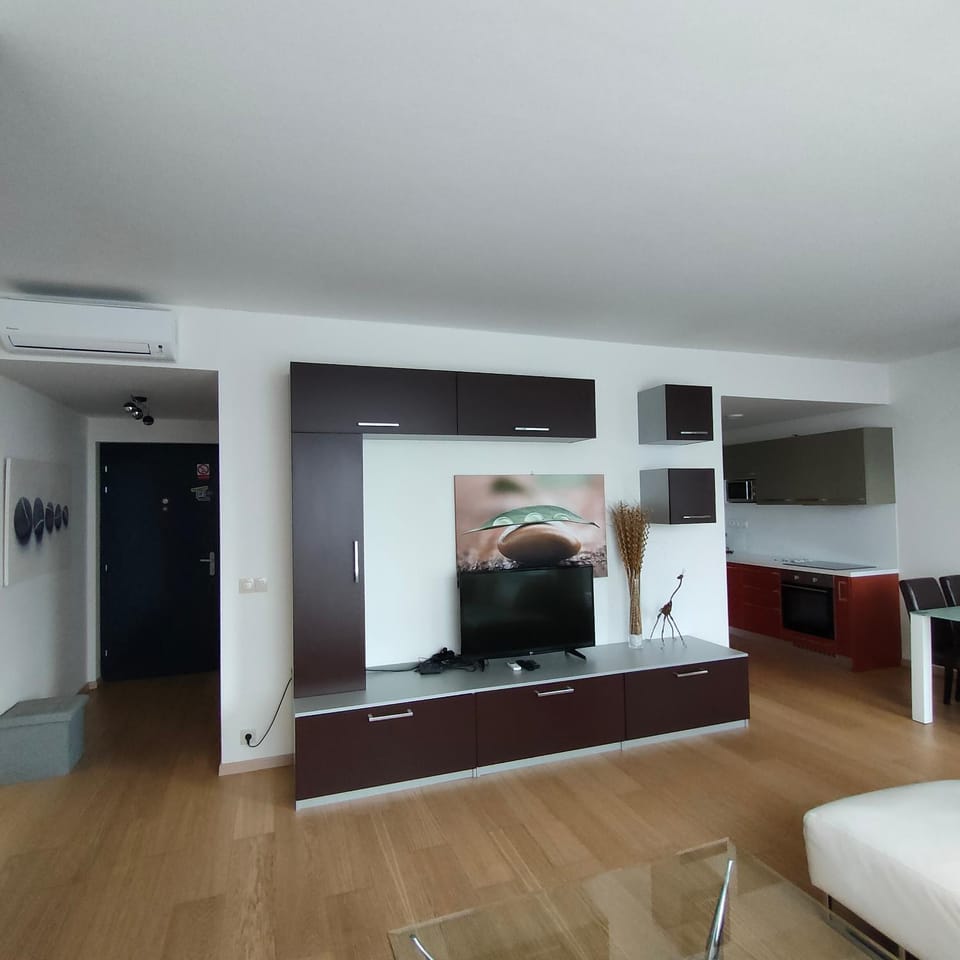 TV and multimedia, Kitchen or kitchenette, Living room, Seating area