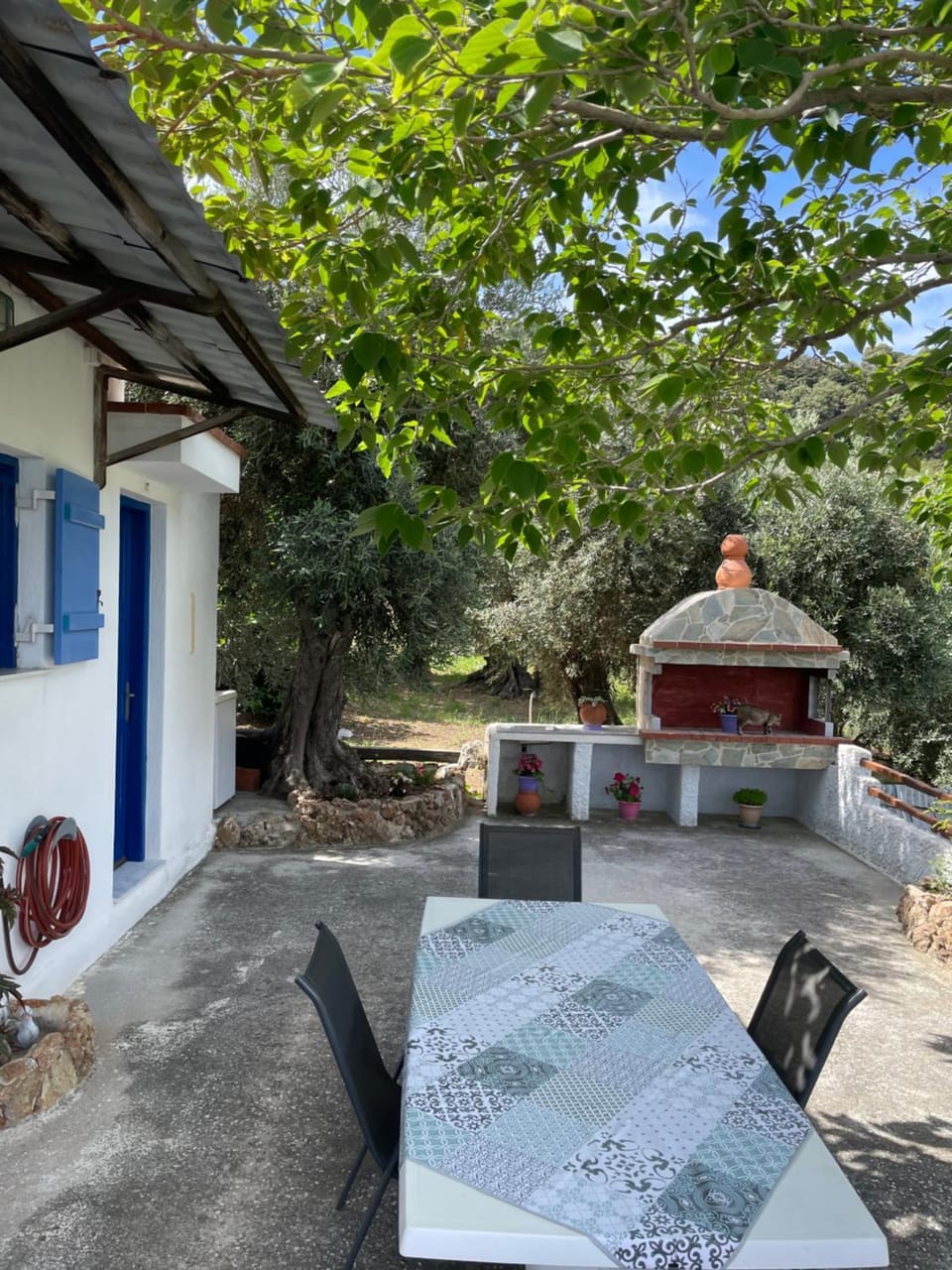 Patio, Day, Garden view