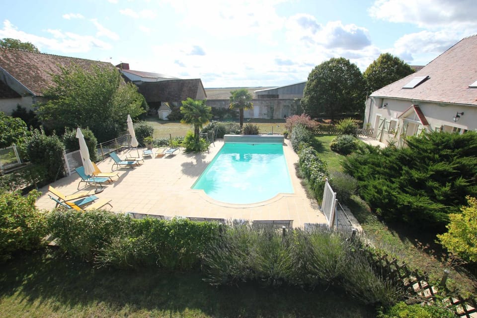 Pool view, Swimming pool