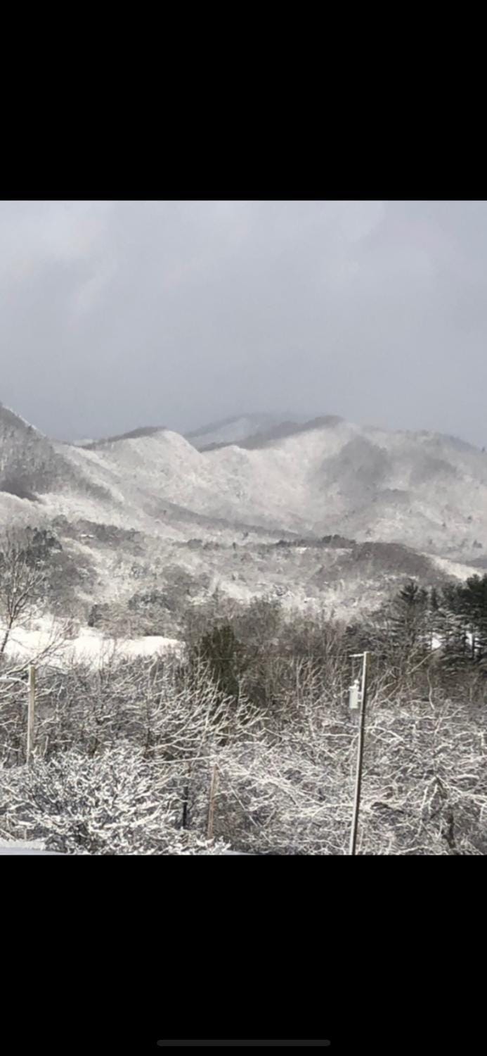 Winter, Mountain view