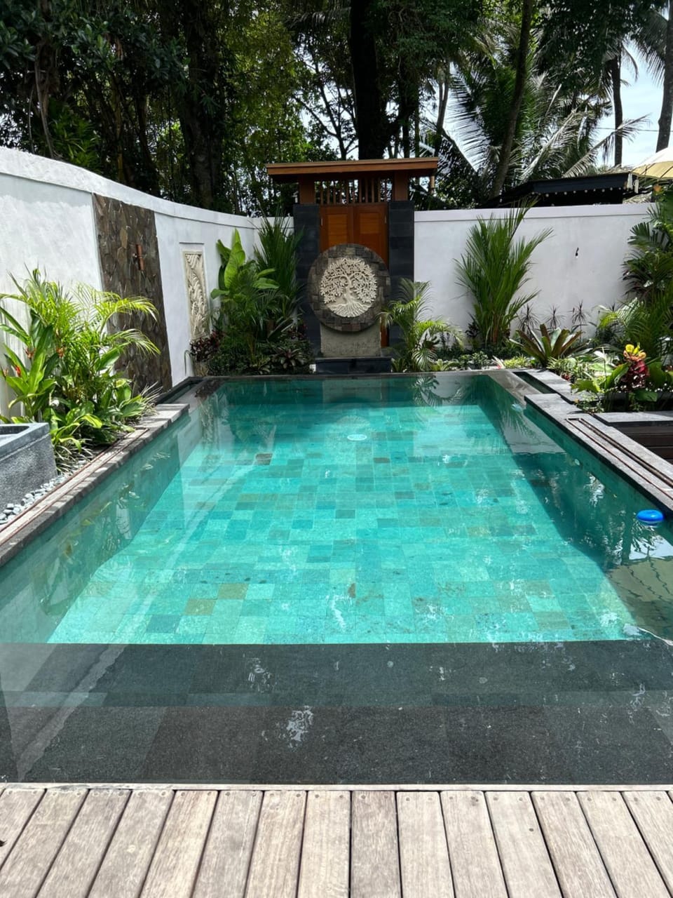 Pool view