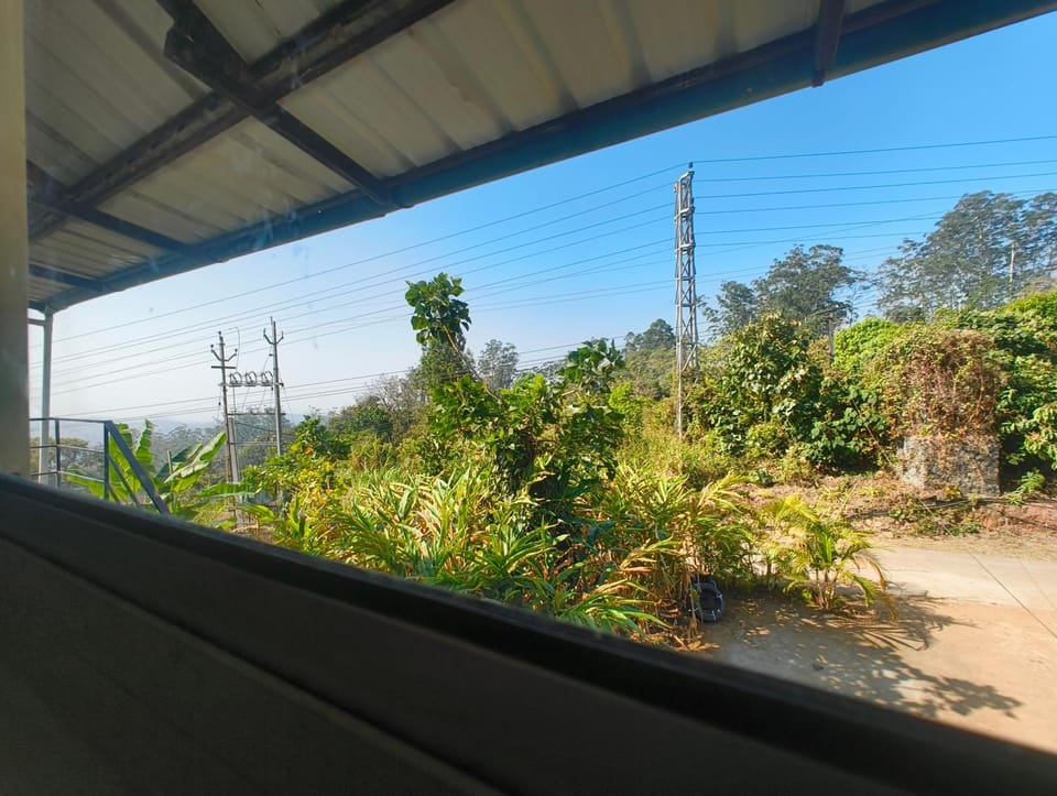 Natural landscape