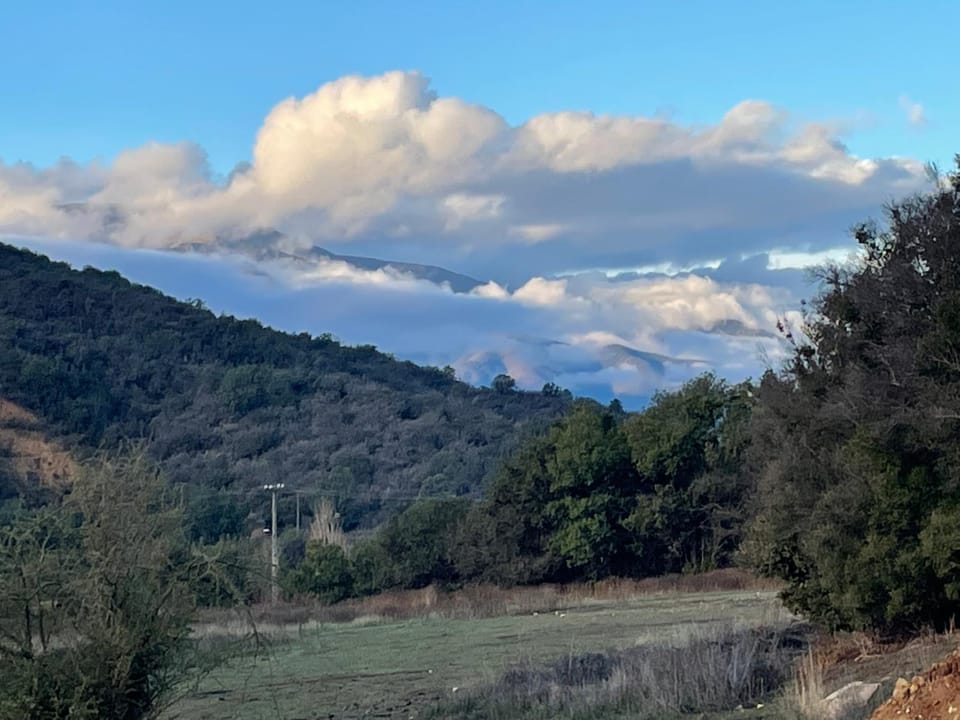Natural landscape