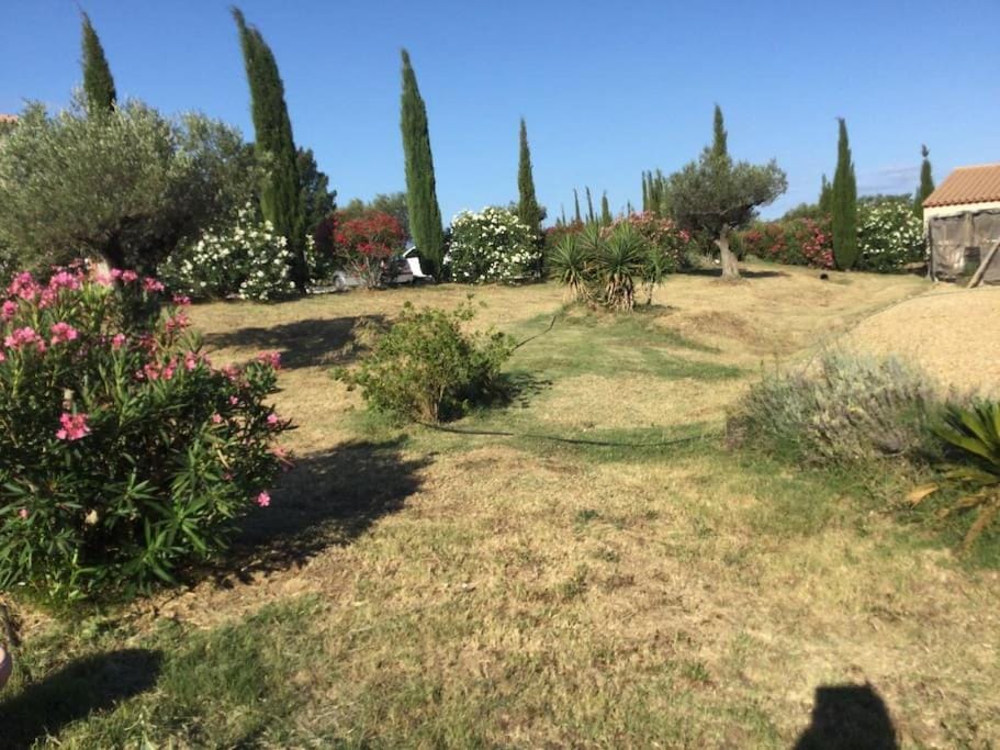 Garden, Garden view