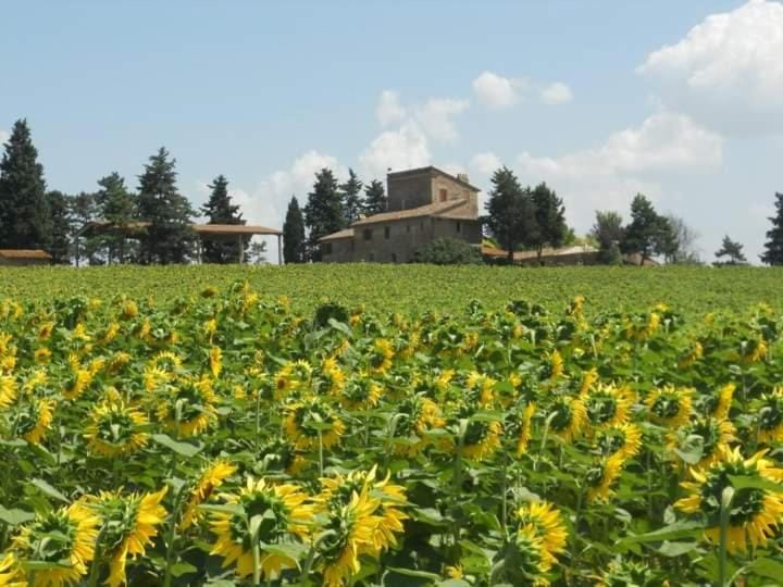 Spring, Day, Natural landscape, Garden, Garden view, Landmark view
