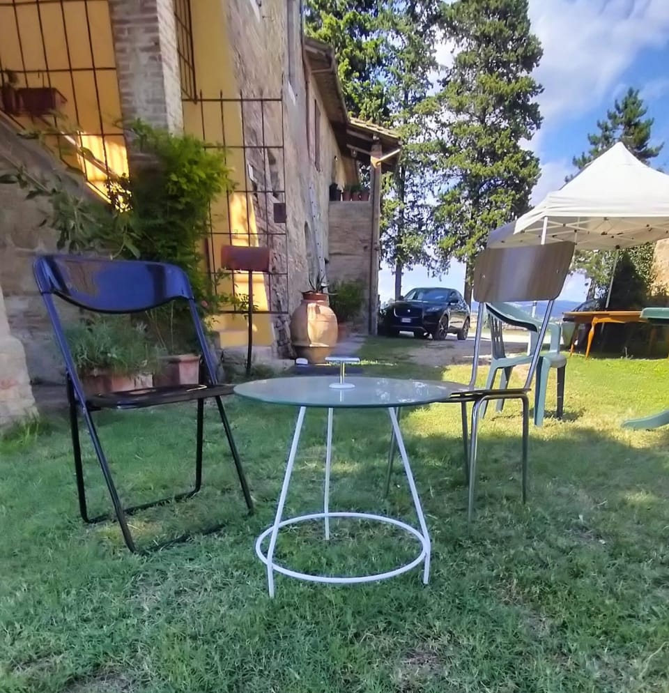 Patio, Spring, Day, Garden, Garden view
