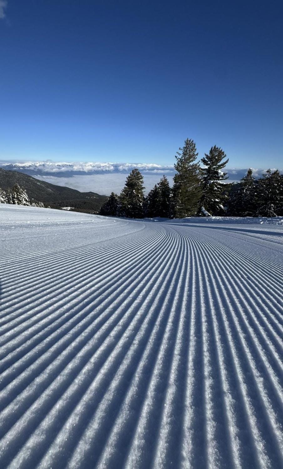 Alpine Lodge Bansko Apartments Apartment in Bansko