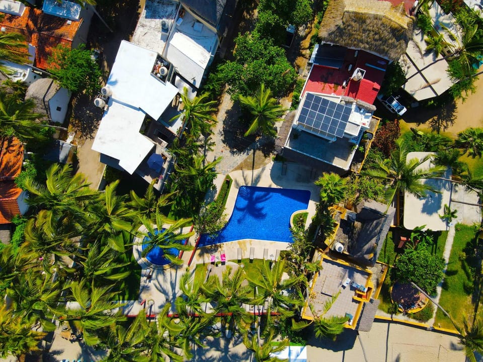 Property building, Day, Bird's eye view, Garden, Garden view, Pool view, Swimming pool
