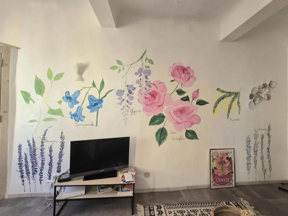 Joli 2 pièces centre historique de Grasse, CLIM ET WIFI Apartment in Grasse
