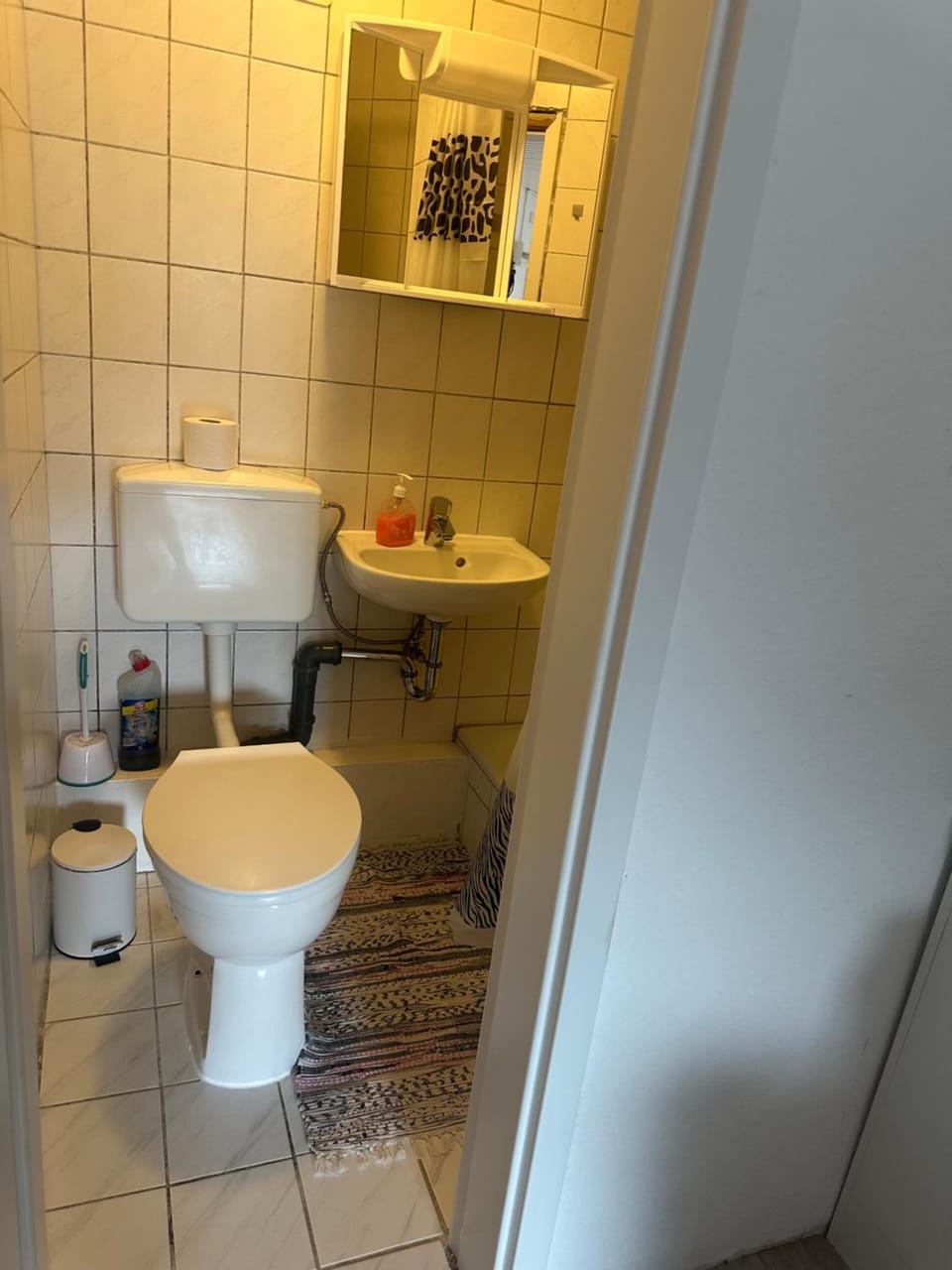 Ferien & Monteur Wohnung 1 - Little Afrika Extensive 5 Zimmer Wohnung Apartment in Minden