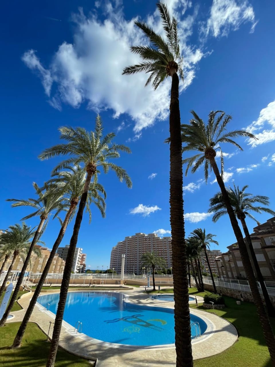 Garden, Pool view, Swimming pool