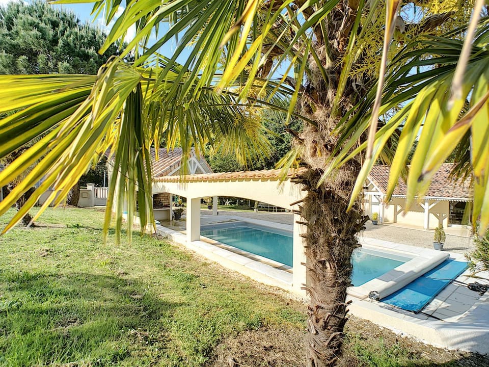 Garden, Swimming pool